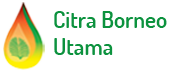 Jasa custom sistem akuntansi Citra Borneo Utama