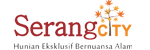 jasa website Serang City